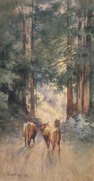 Cows in a Redwood Glade (mk42)